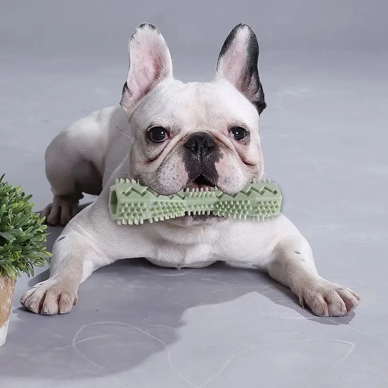 Dog Toothbrush Durable Dog Che - đánh giá và giá Indestructible Dog Chew Toy