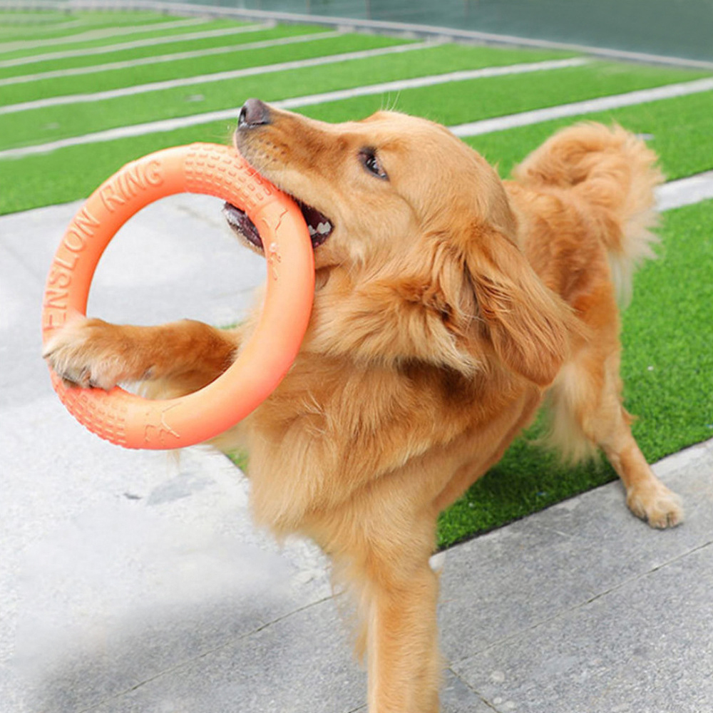1PC cam Dog Đồ chơi Vật nuôi b - đánh giá và giá Flying Disc Dog Training Toy
