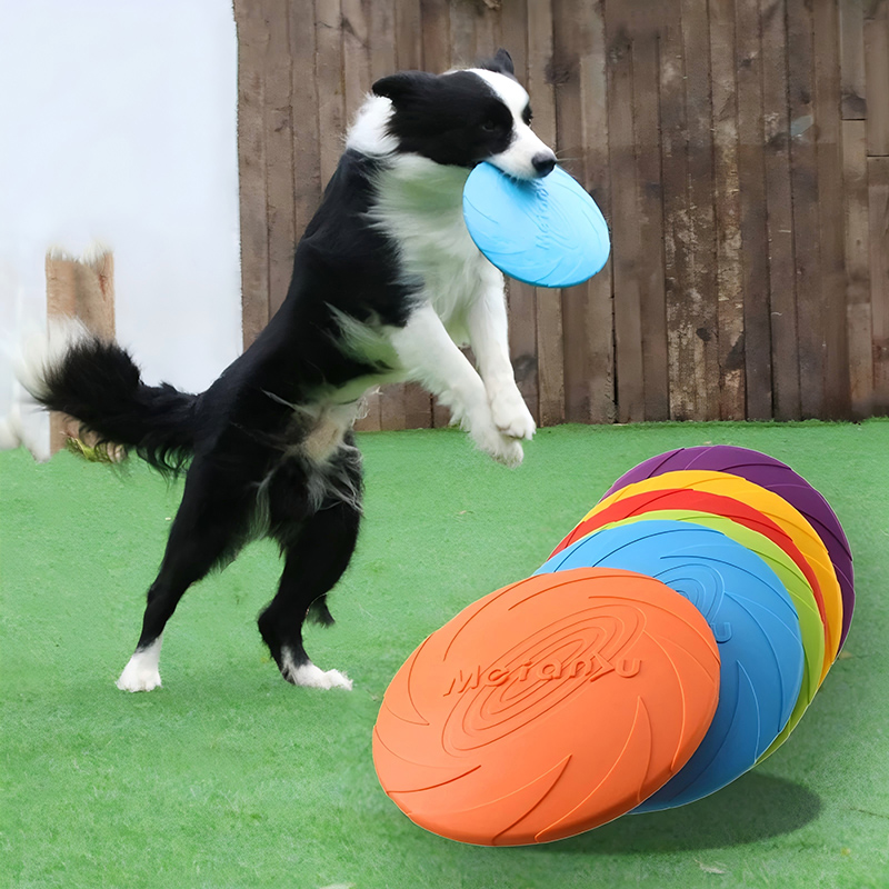 Silicone Flying Disc Toys Mult - đánh giá và giá Flying Disc Dog Training Toy