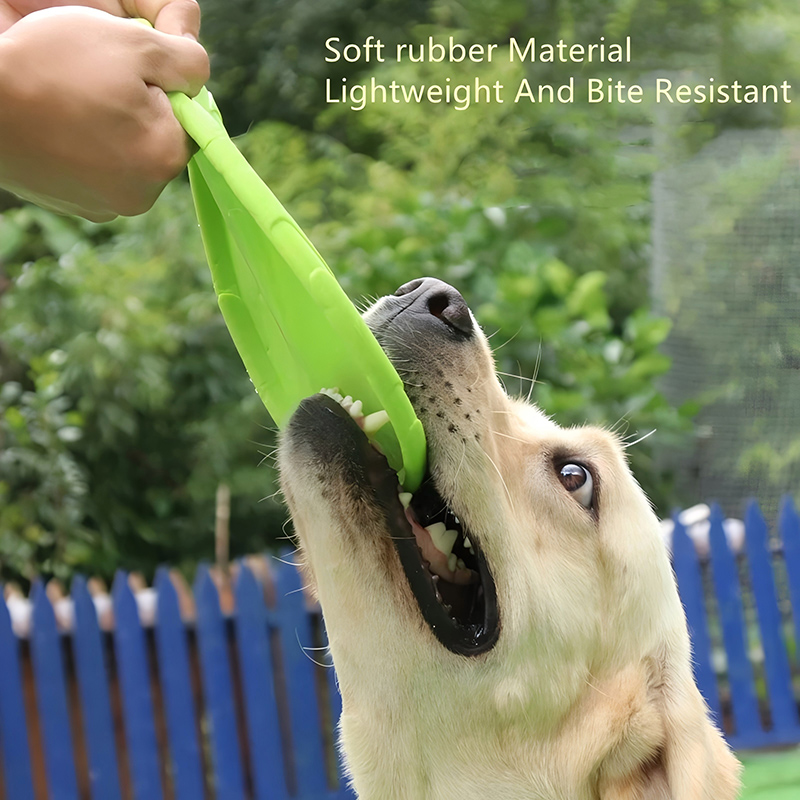 Silicone Flying Disc Toys Mult - đánh giá và giá Flying Disc Dog Training Toy
