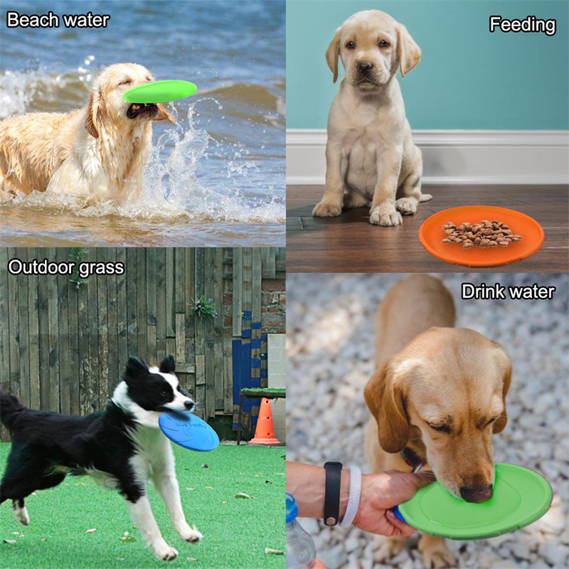 Silicone Flying Disc Toys Mult - đánh giá và giá Flying Disc Dog Training Toy