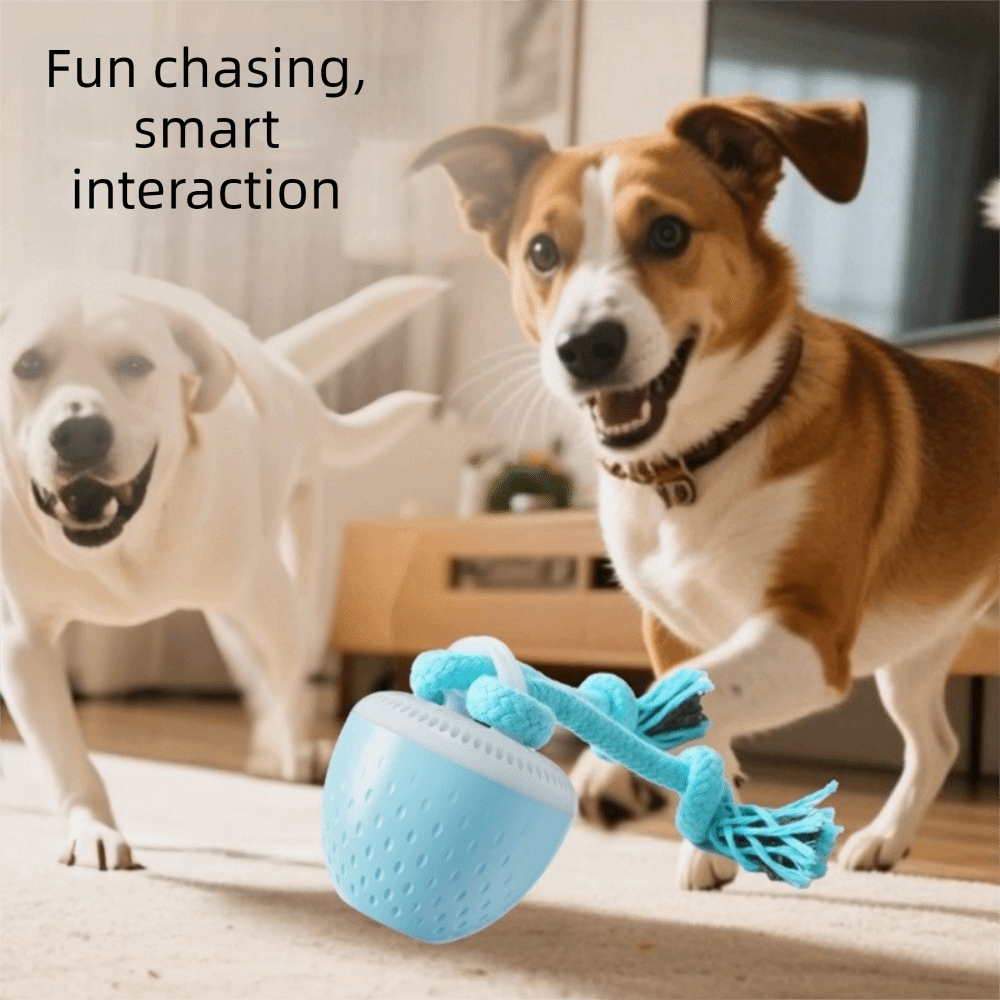 Bite Resistant Smart Pet Toy B - đánh giá và giá Automatic Moving Dog Ball