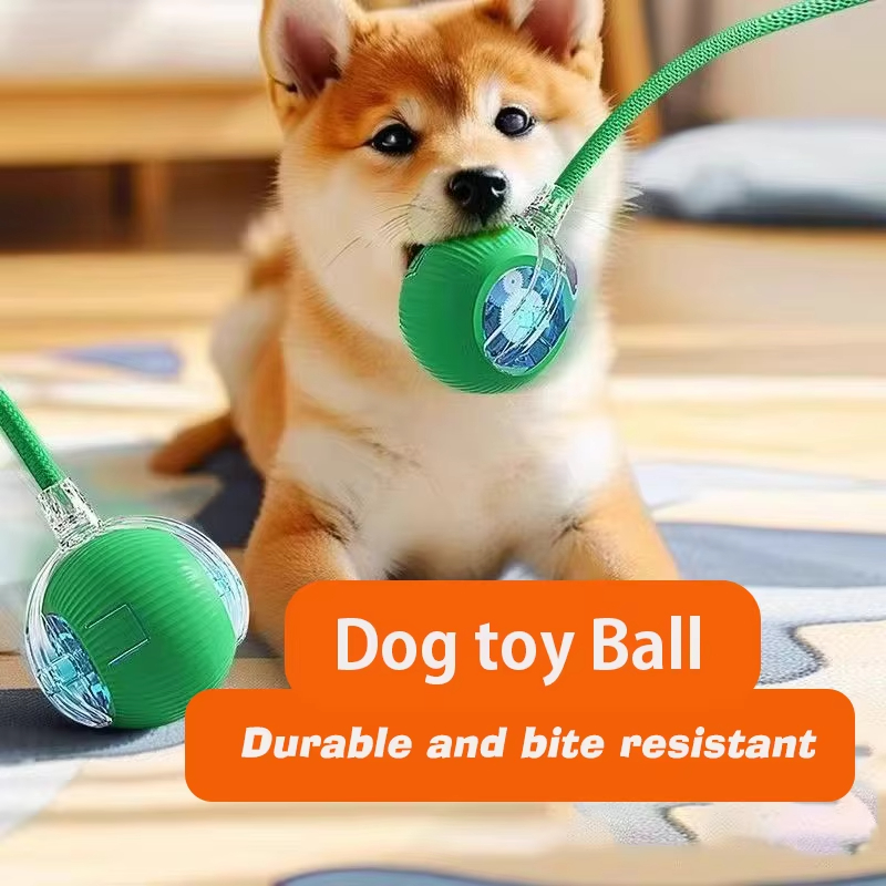 New Dog Interactive Ball Toy A - đánh giá và giá Automatic Moving Dog Ball