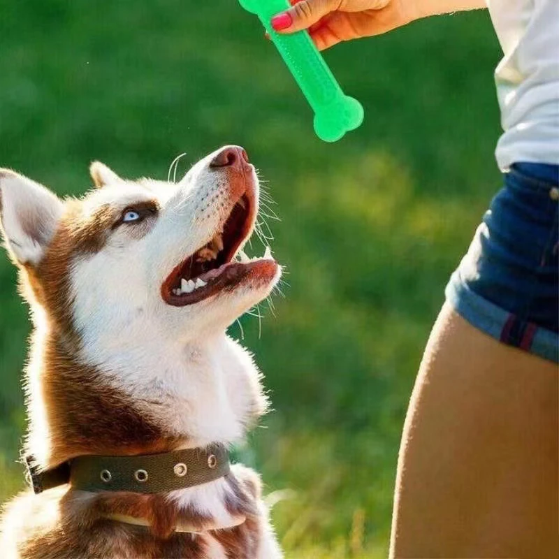 Super Tough Dog Bone Chew Toy  - đánh giá và giá Teeth Cleaning Dog Chew Bone