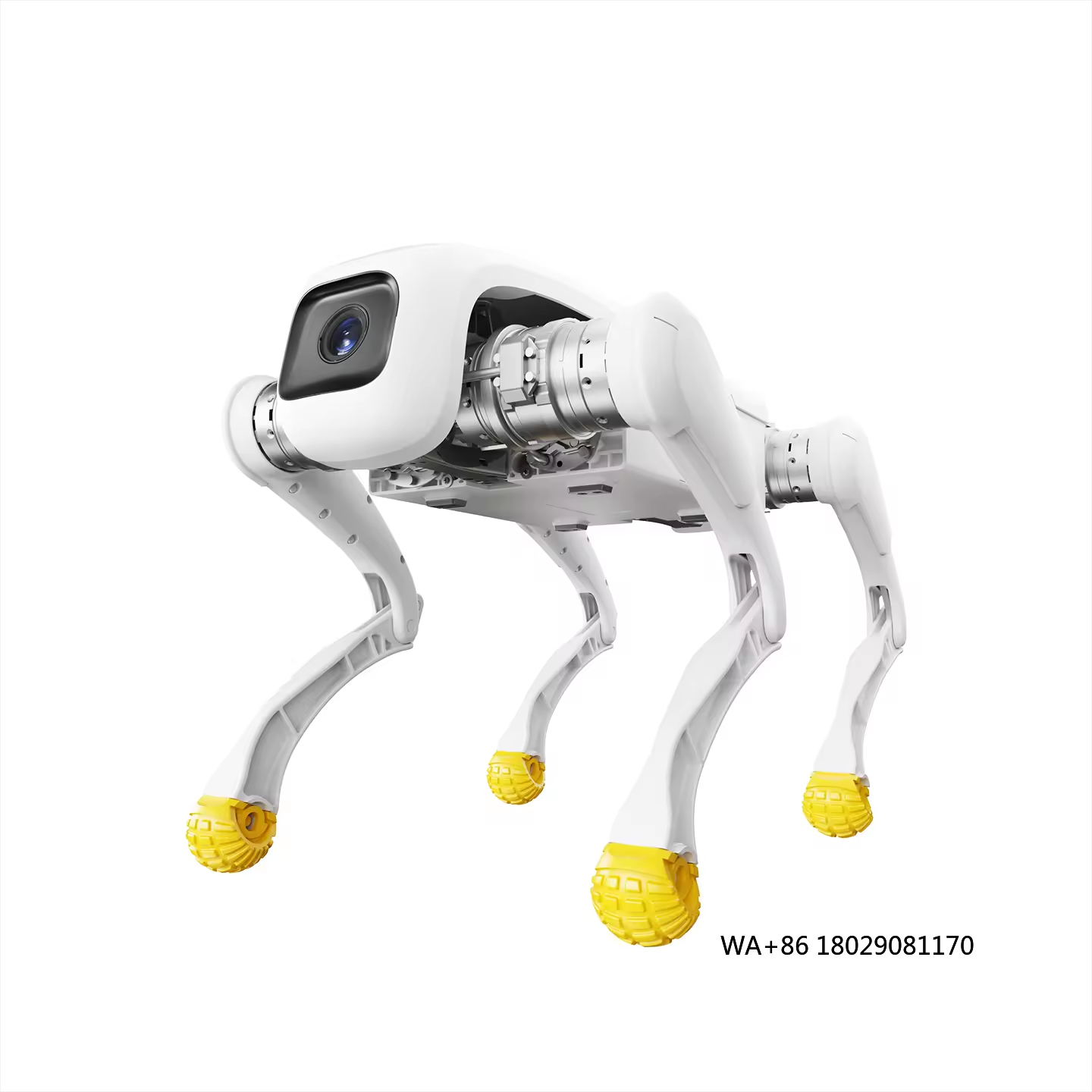 Design Dog Robot AI Electronic - đánh giá và giá Dog Toys