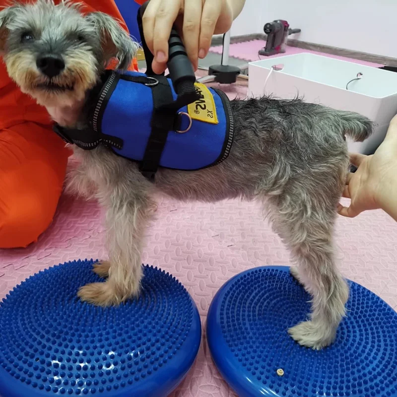Dogs Training Aids Balance Fly - đánh giá và giá Flying Disc Dog Training Toy
