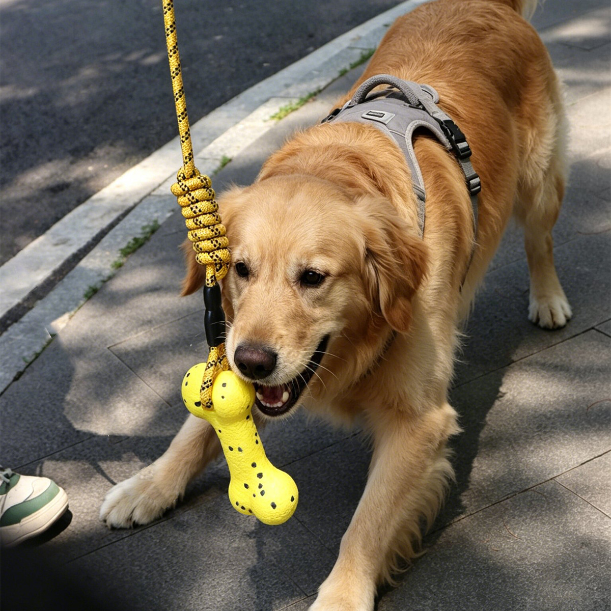 Heavy Duty Dog Tug Rope Toy ET - đánh giá và giá Dog Rope Toy Aggressive Chewers