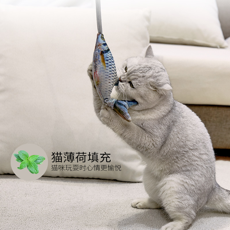 Funny Electric Moving Fish Cat - đánh giá và giá Electric Floppy Fish Dog Toy