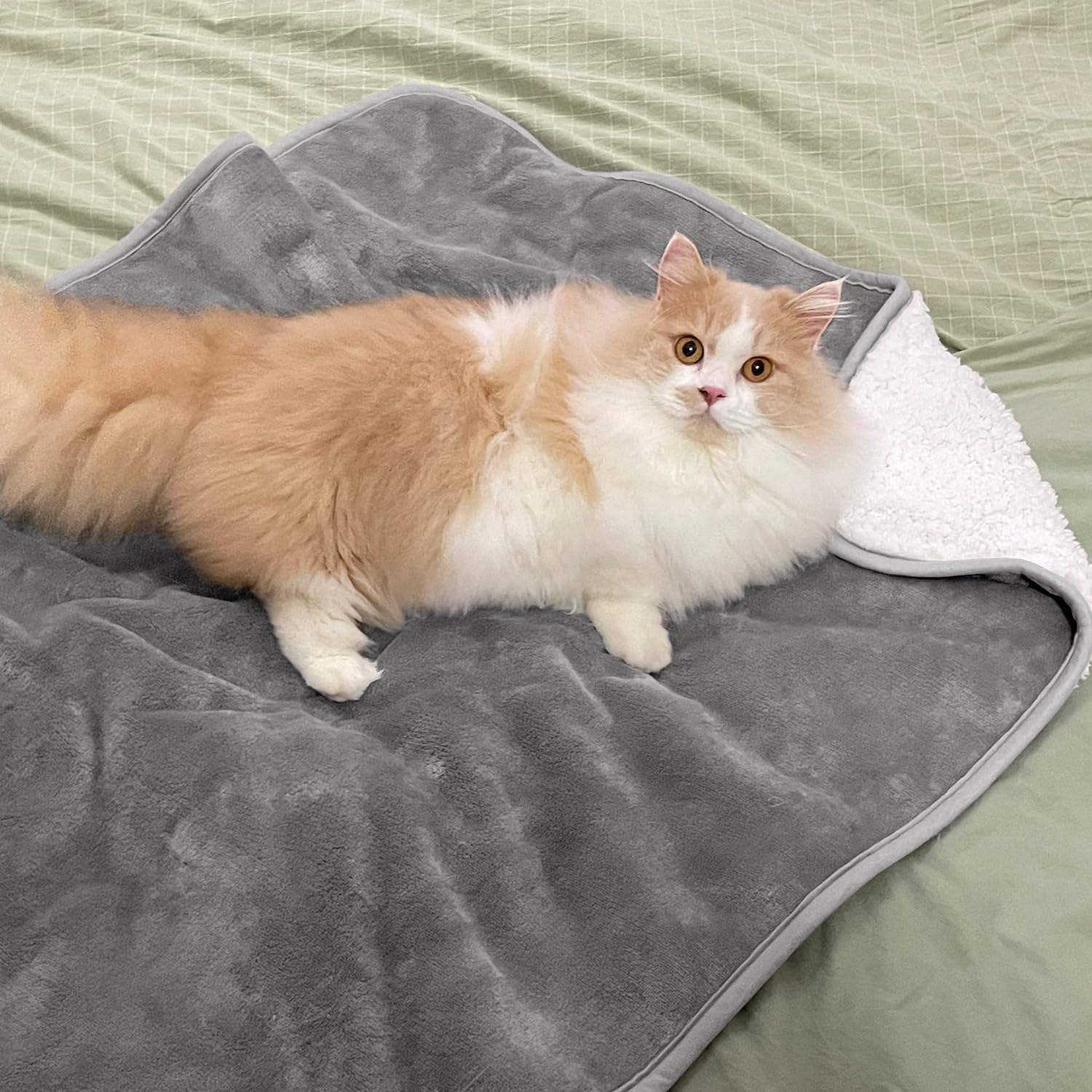 Solid Color Pet Blanket Cozy P - đánh giá và giá Pet Beds