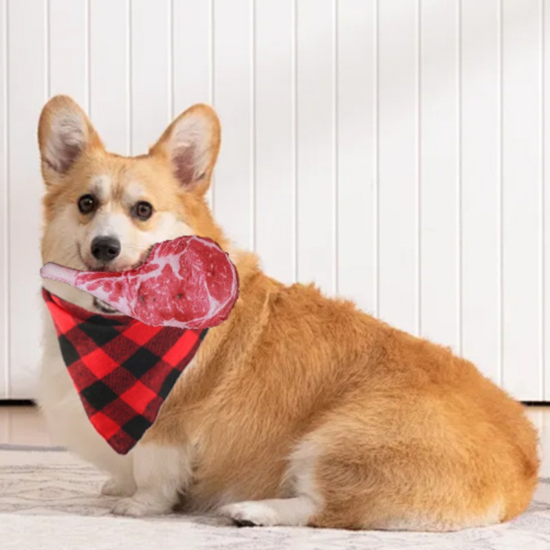 Simulated Steak Squeaky Dog To - đánh giá và giá Teeth Cleaning Dog Chew Bone
