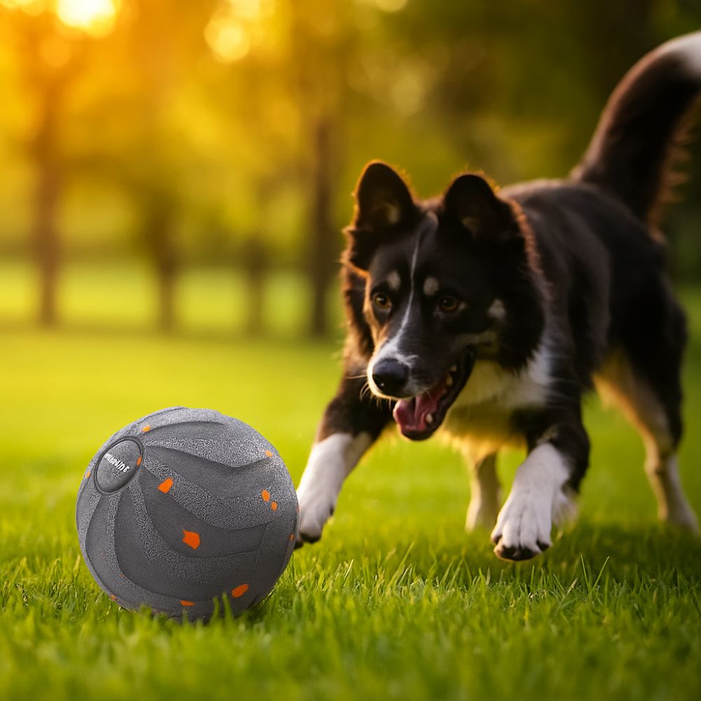 Bite Resistant Smart Dog Toy B - đánh giá và giá Automatic Moving Dog Ball