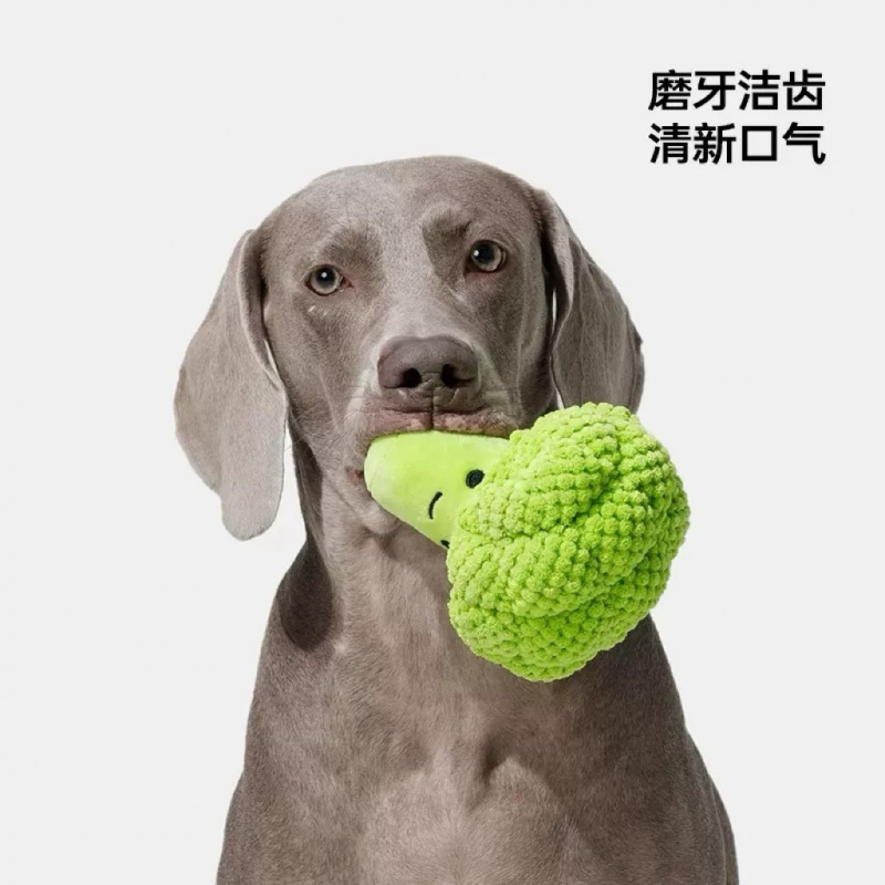 Dog Sound Toy for Teeth Grindi - đánh giá và giá Interactive Squeaky Plush Dog Toy