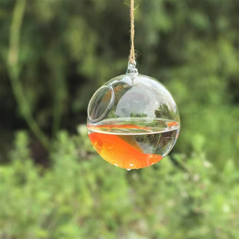 Small Packing Diameter=10cm 12 - đánh giá và giá Aquarium