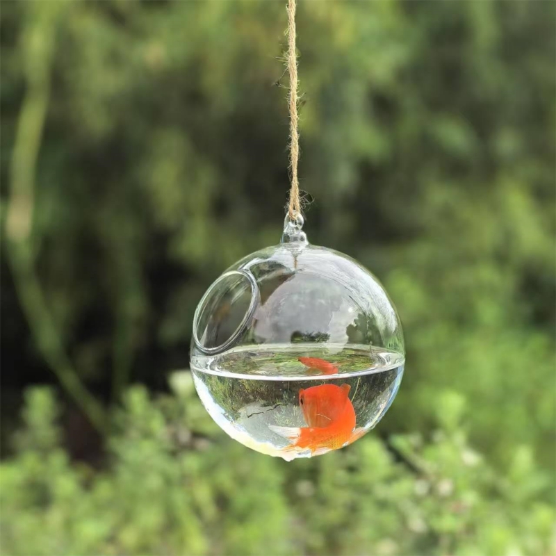 Small Packing Diameter=10cm 12 - đánh giá và giá Aquarium