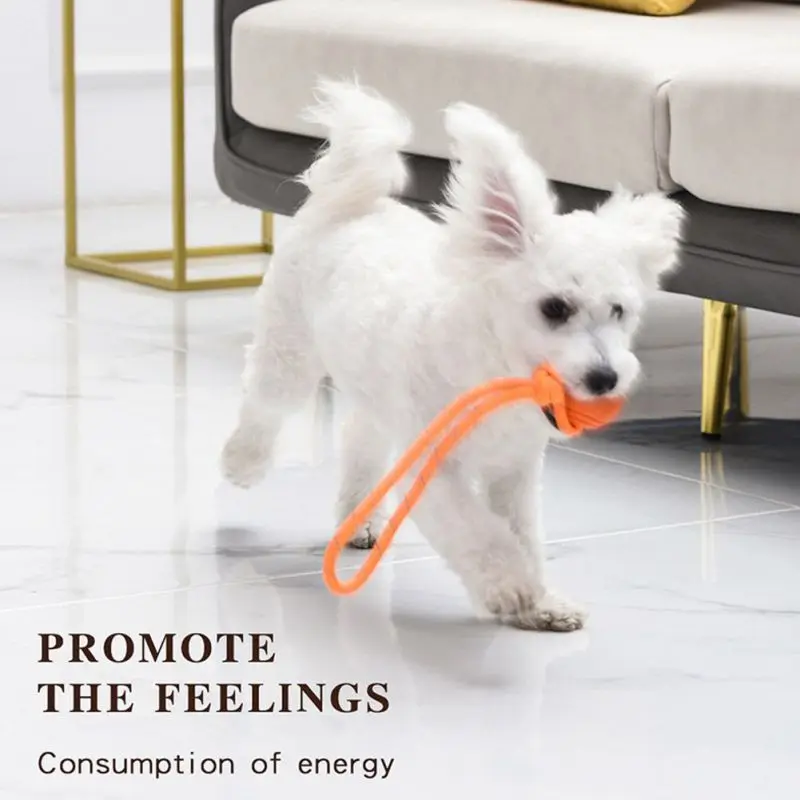 Dog Training Ball on Rope Cott - đánh giá và giá Suction Cup Dog Tug Toy