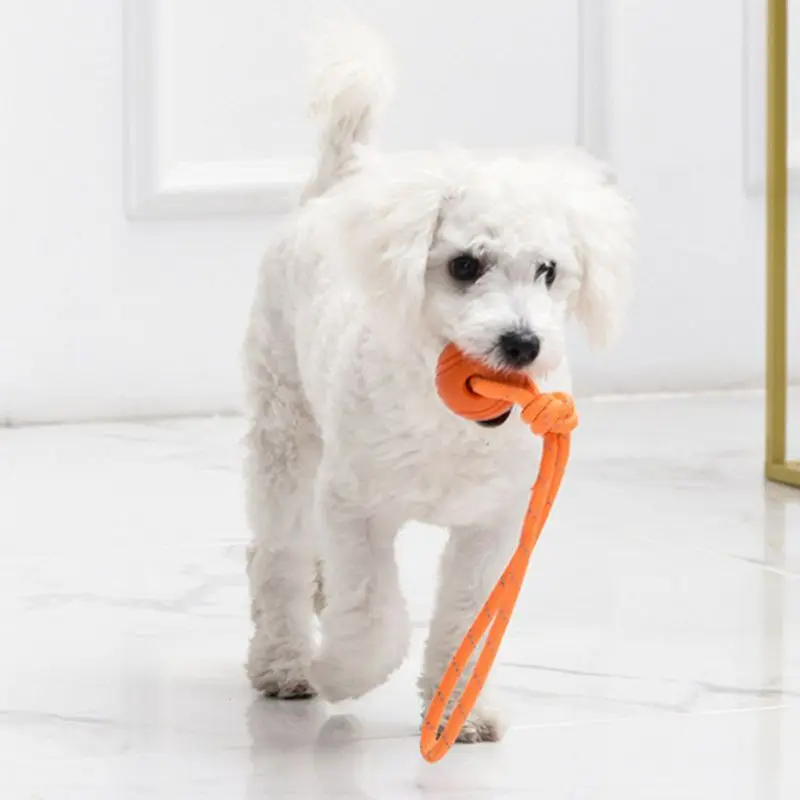 Dog Training Ball on Rope Cott - đánh giá và giá Suction Cup Dog Tug Toy