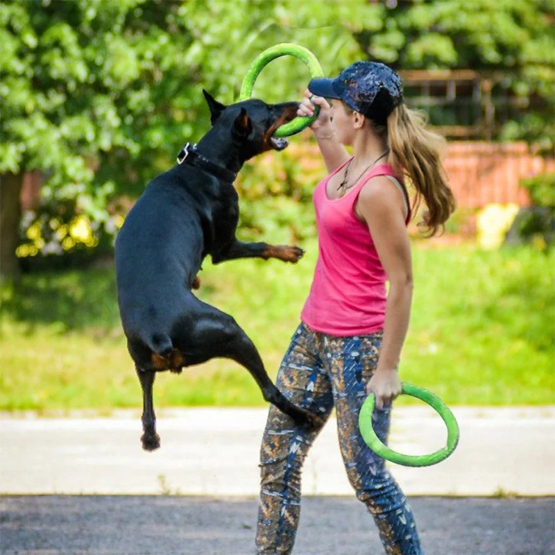 Dog Toys Pet Flying Discs EVA  - đánh giá và giá Flying Disc Dog Training Toy