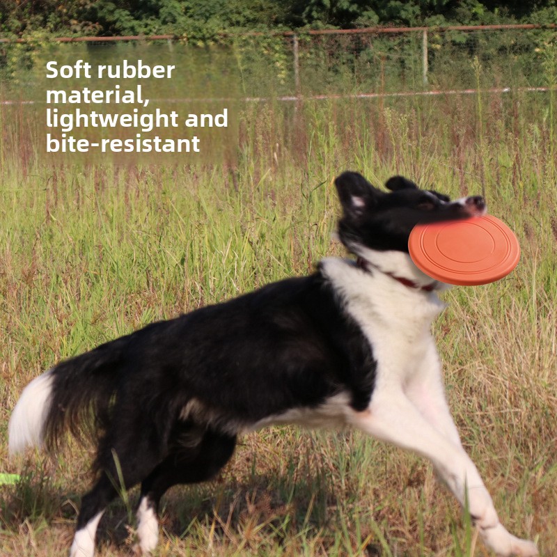 Bite Resistant Floating Soft P - đánh giá và giá Flying Disc Dog Training Toy