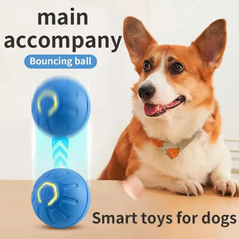 Intelligent Interactive Pet To - đánh giá và giá Automatic Moving Dog Ball