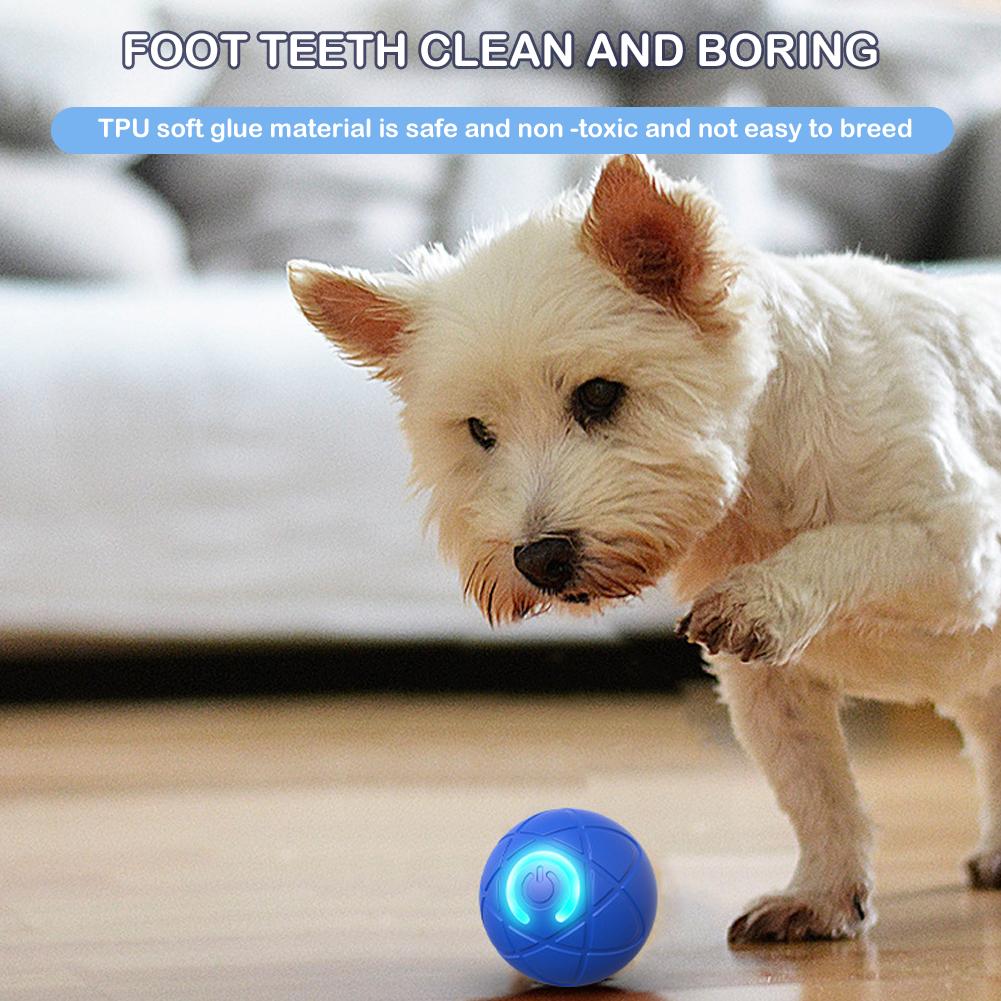 Electronic Interactive Pet Toy - đánh giá và giá Automatic Moving Dog Ball