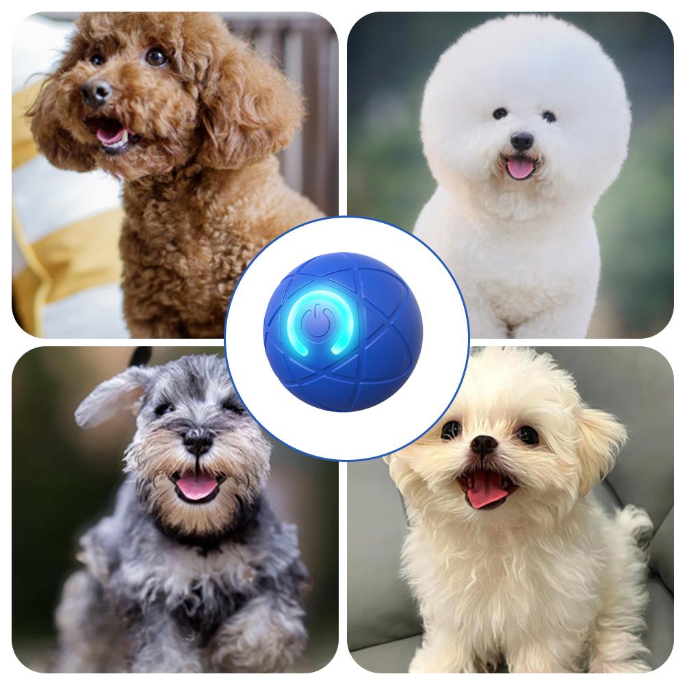 Electronic Interactive Pet Toy - đánh giá và giá Automatic Moving Dog Ball