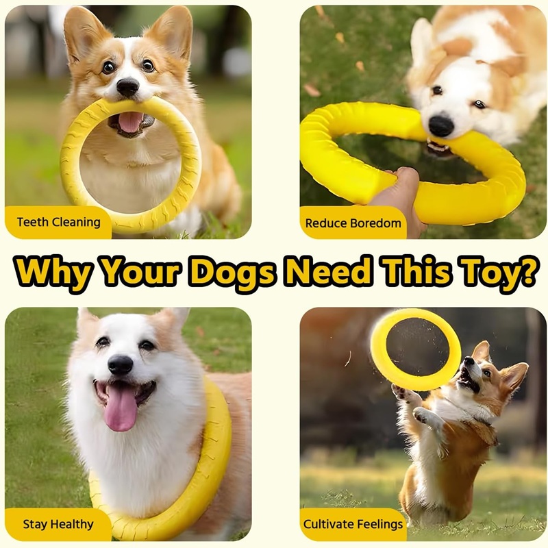 Dog Toys Pet Flying Discs EVA  - đánh giá và giá Flying Disc Dog Training Toy