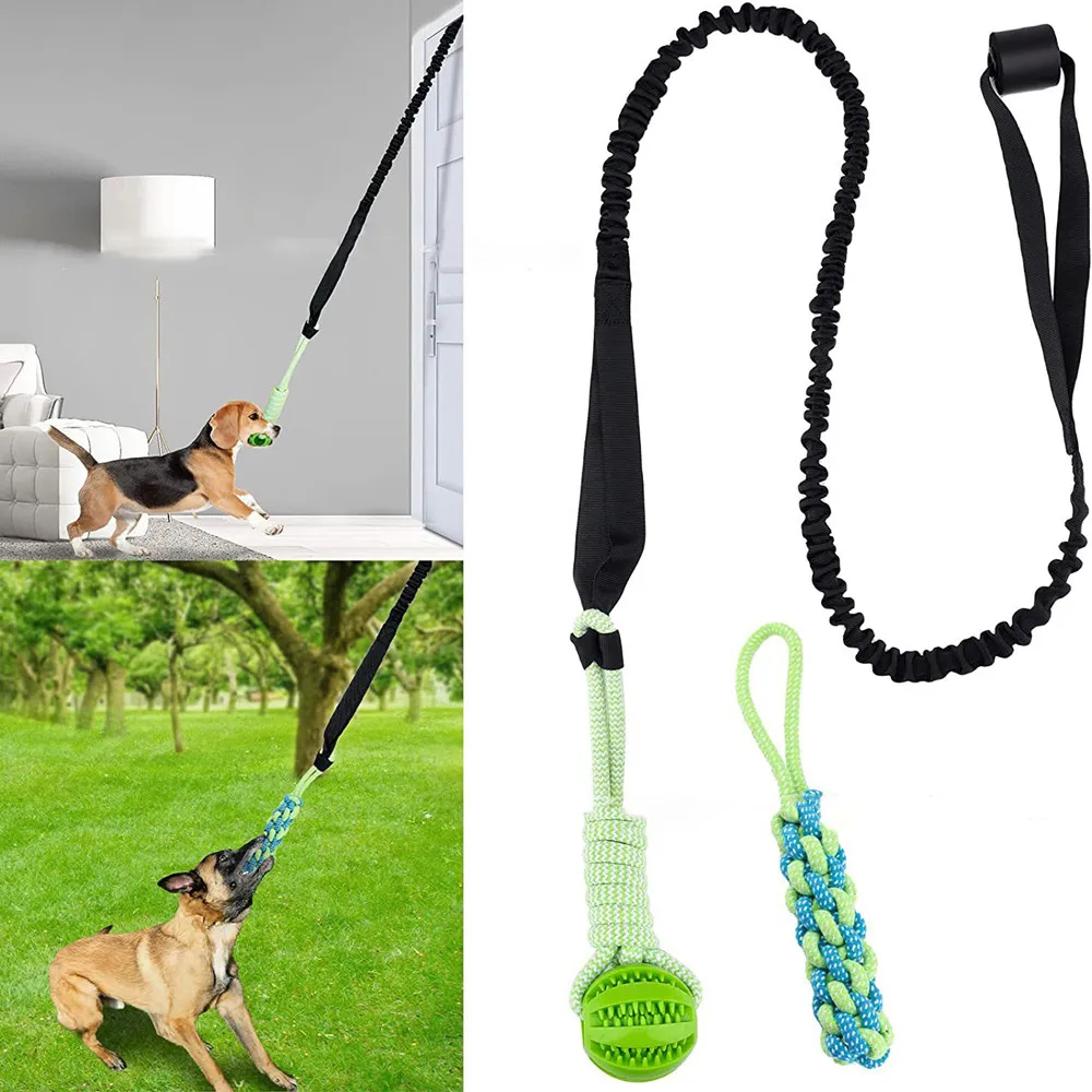 Interactive Dog Toy Tug of War - đánh giá và giá Suction Cup Dog Tug Toy