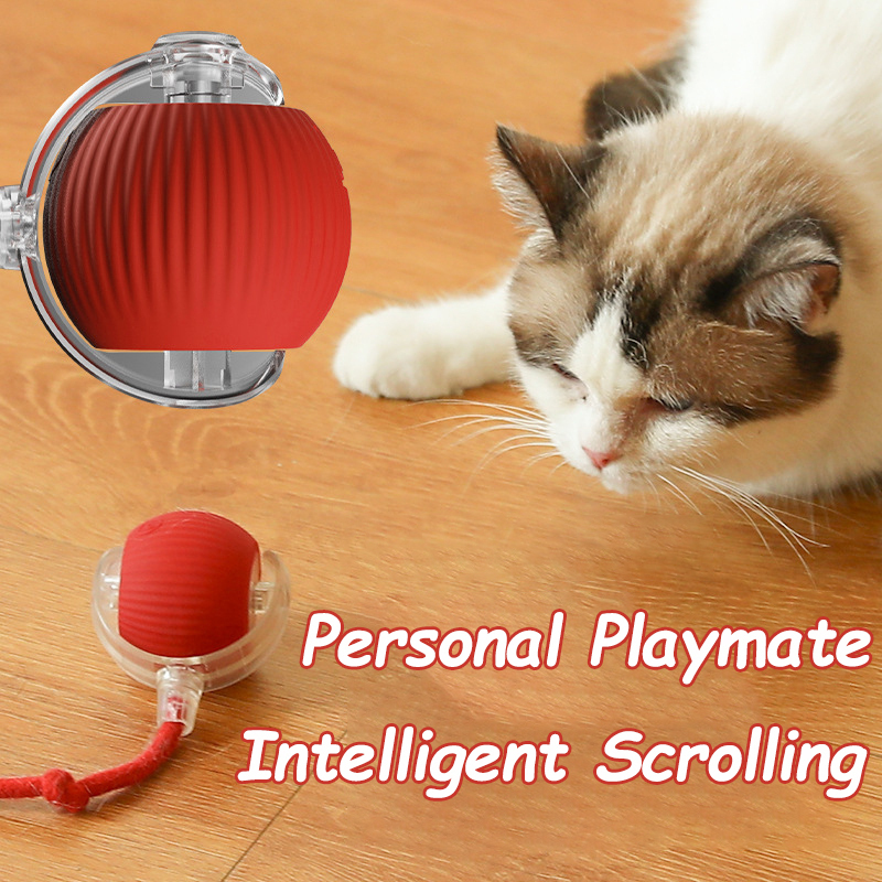 New Cat Interactive Ball Toy A - đánh giá và giá Automatic Moving Dog Ball