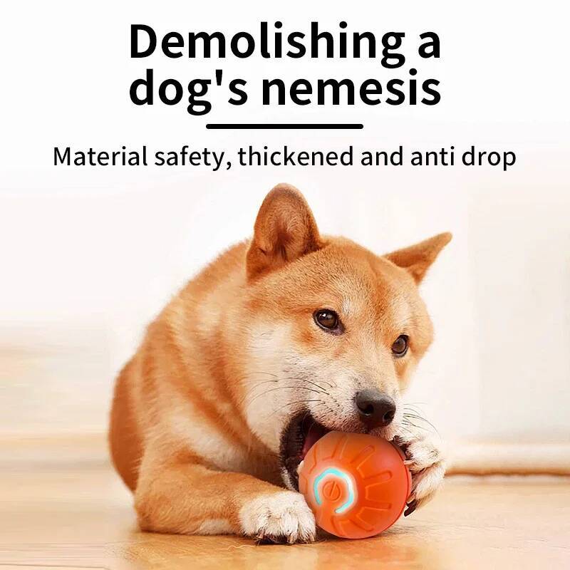 Smart Dog Toy Ball Electronic  - đánh giá và giá Automatic Moving Dog Ball