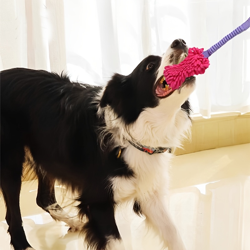 Durable Dog Toys for Aggressiv - đánh giá và giá Indestructible Dog Chew Toy
