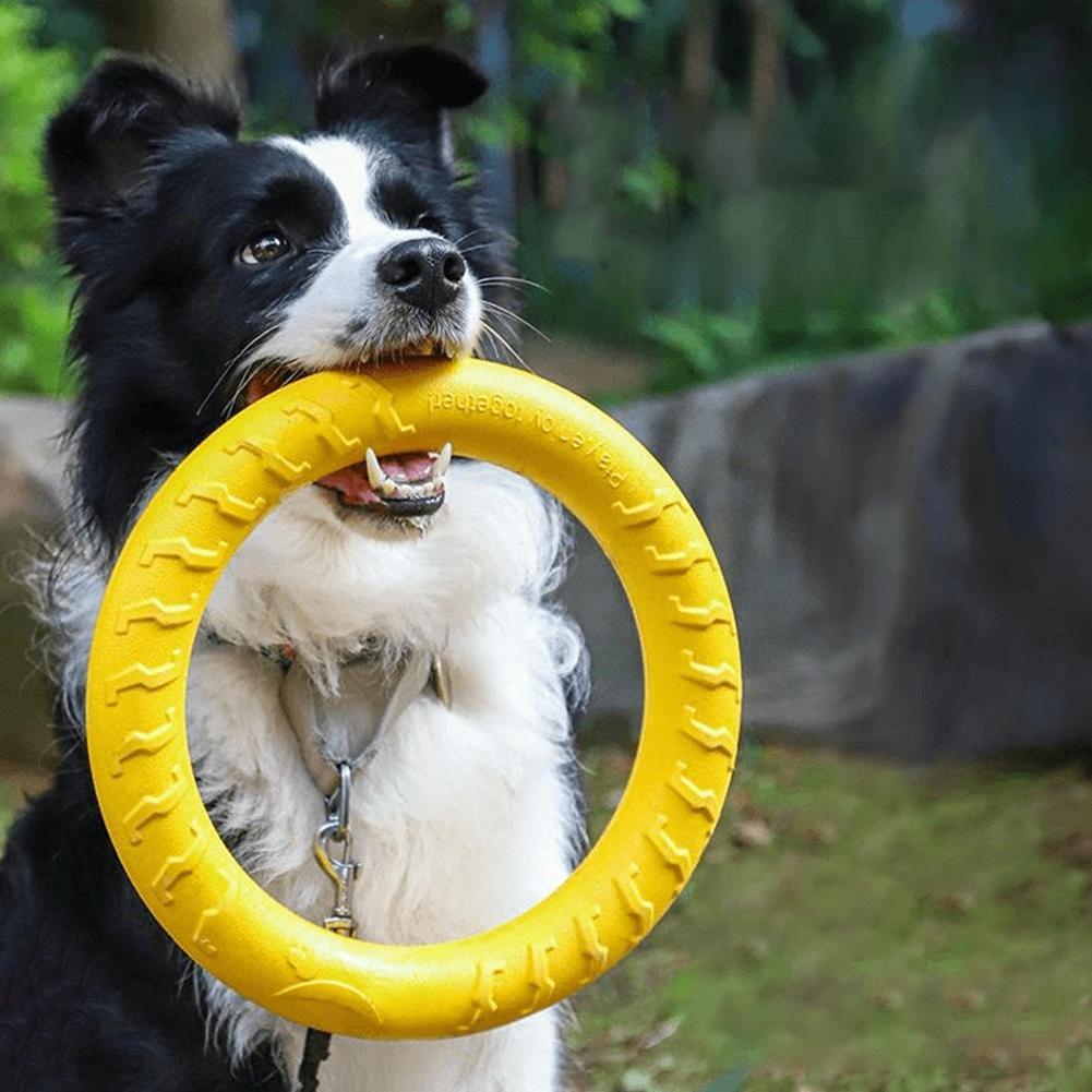 Dog Ring Toys Indestructible C - đánh giá và giá Indestructible Dog Chew Toy