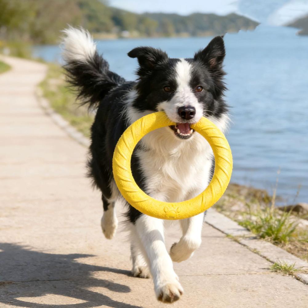 Dog Ring Toys Indestructible C - đánh giá và giá Indestructible Dog Chew Toy