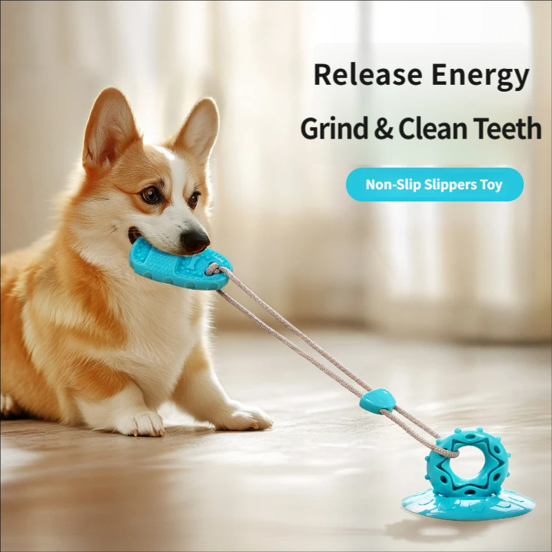 Suction Cup Dog Tug Toy Intera - đánh giá và giá Suction Cup Dog Tug Toy