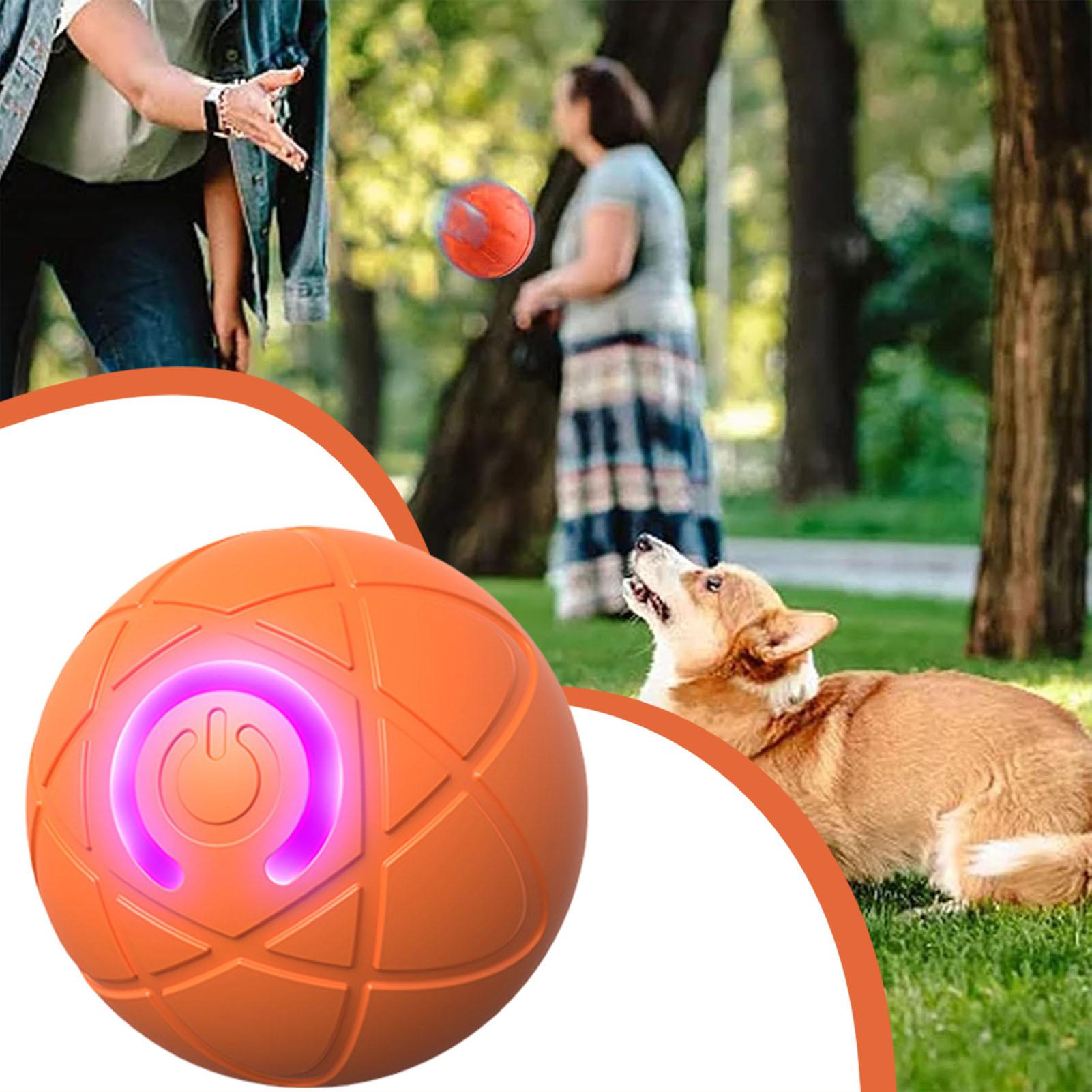 Dog Toy Ball Interactive Rolli - đánh giá và giá Automatic Moving Dog Ball