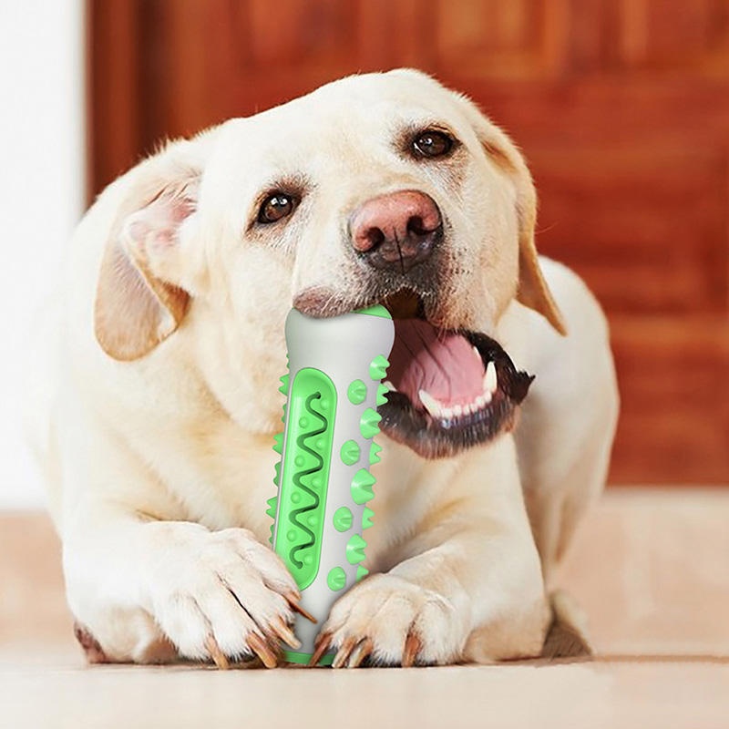 TPR Dog Molar Stick Chew Toy D - đánh giá và giá Teeth Cleaning Dog Chew Bone