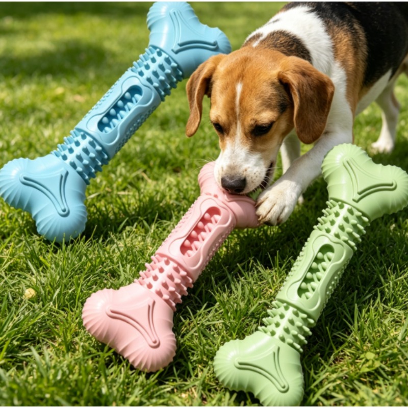 New Durable Pet Chew Toy Set D - đánh giá và giá Teeth Cleaning Dog Chew Bone