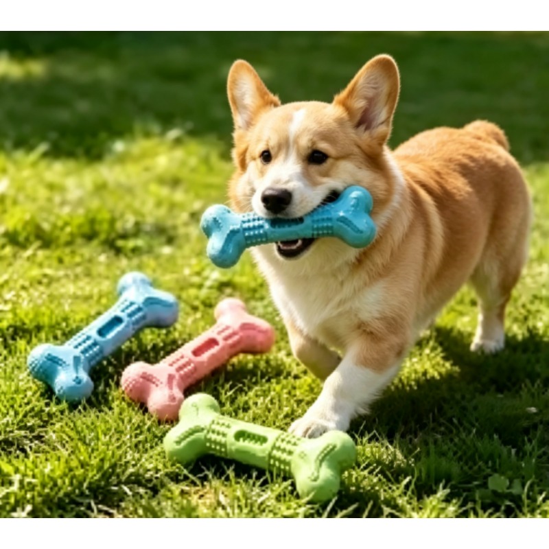 New Durable Pet Chew Toy Set D - đánh giá và giá Teeth Cleaning Dog Chew Bone