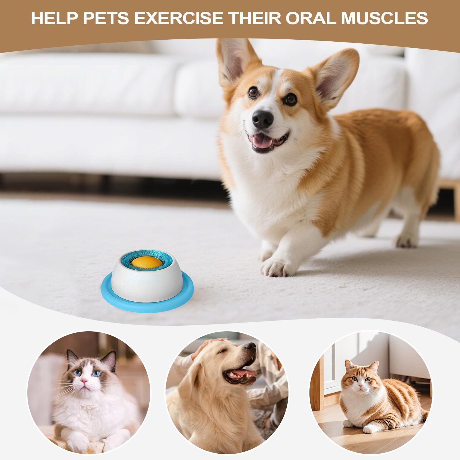 Pet Feeding Accessories Dog Tr - đánh giá và giá Dog Puzzle Feeder Toy